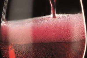Sagra del Lambrusco e Degli Spiriti Divini